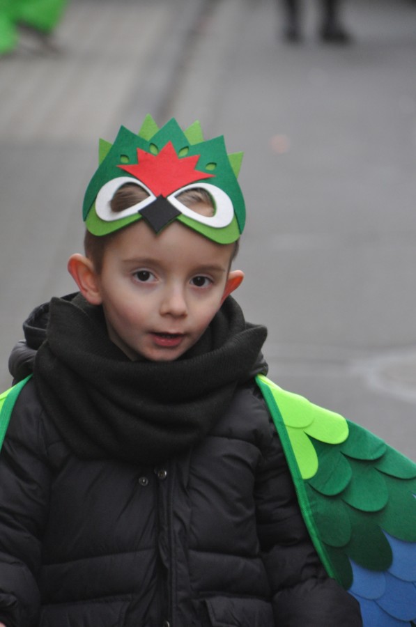 Foto Karnevalszug 2024